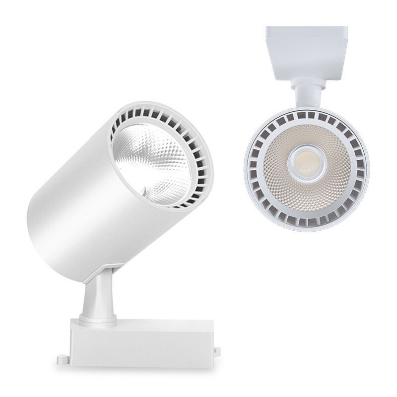 Reflektor LED, 30W, 6000k