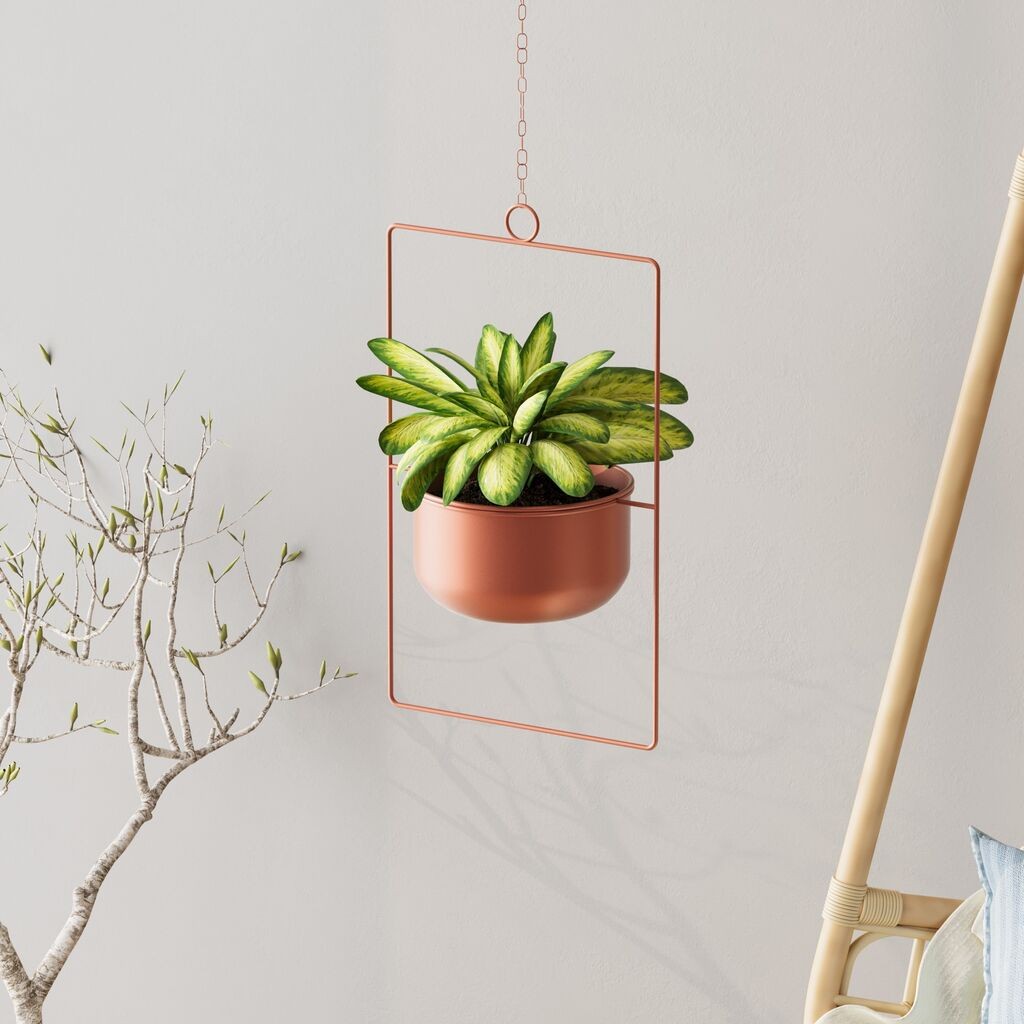 Aberto Design Dekorativna saksija Parapet, 25x40x17 cm, Terakota