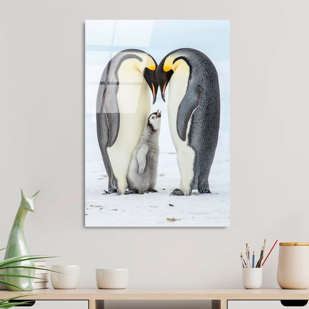 Wallity Slika UV-426, 50 x 70 cm