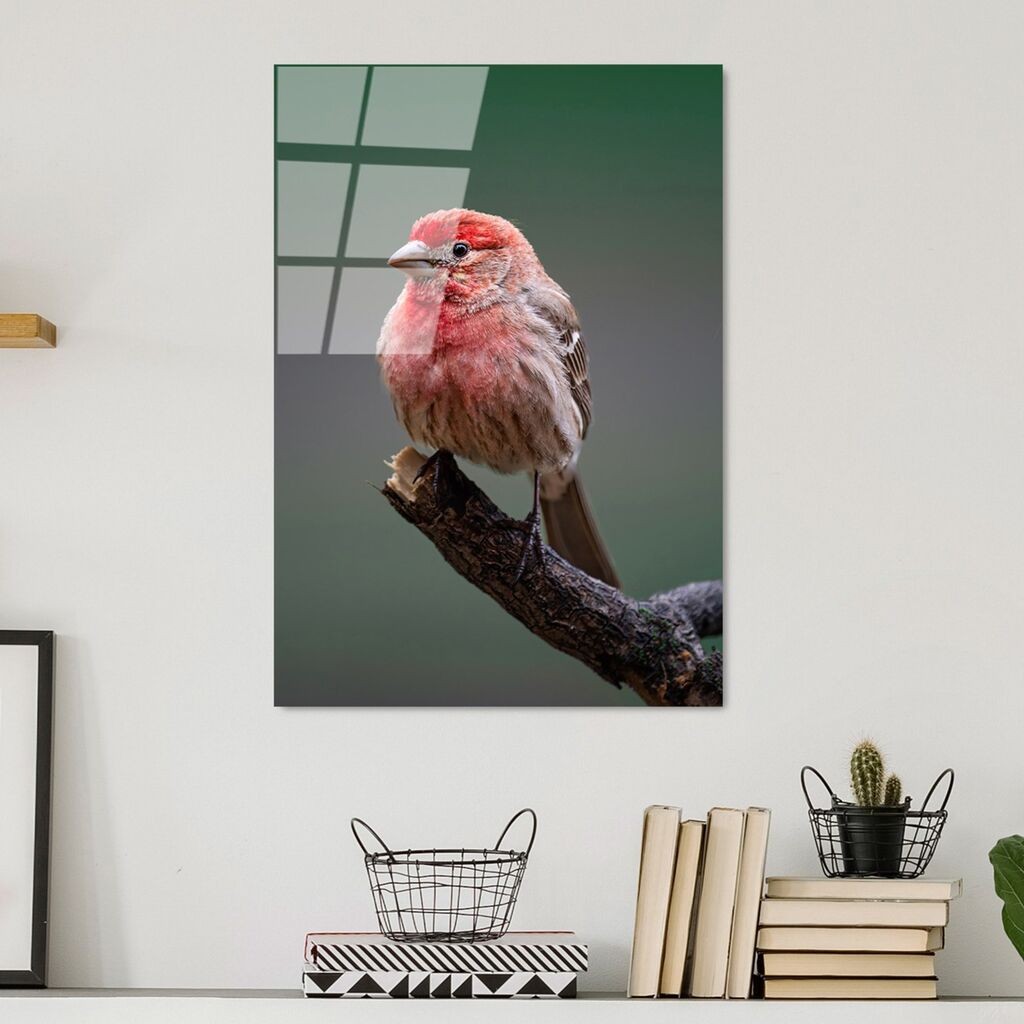 Wallity Slika UV-300, 50 x 70 cm