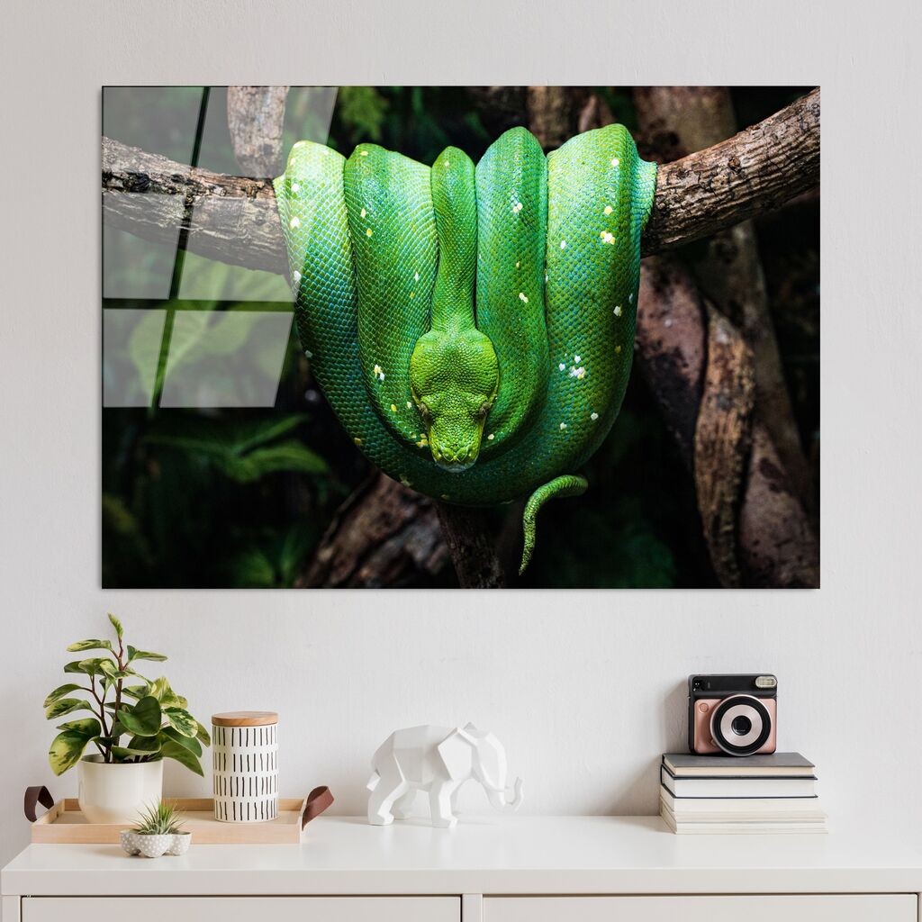 Wallity Slika UV-151, 70 x 100 cm