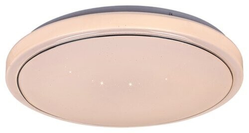 Rabalux Plafonjera Trevor2, LED 12W, D29cm