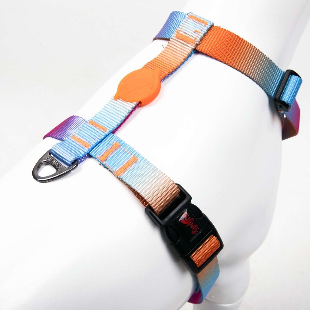 Paws & Whiskers Am za pse Pass, Šareni