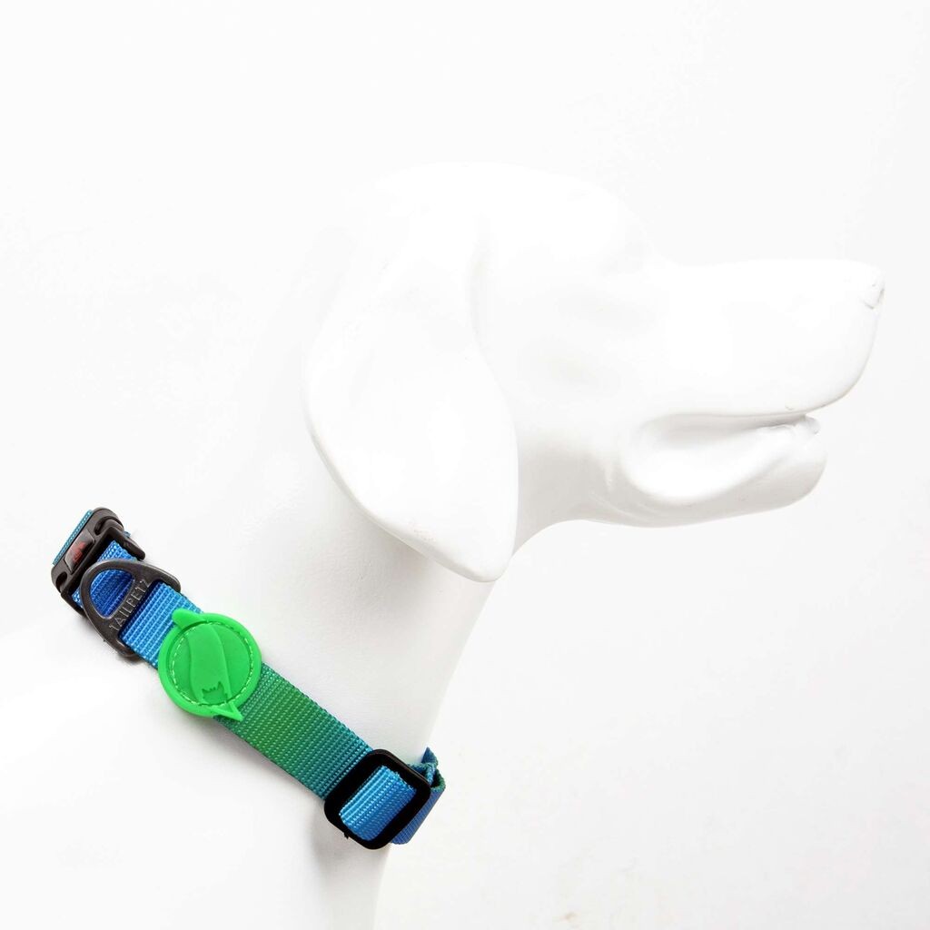 Paws & Whiskers Ogrlica za pse Amazon, Šarena