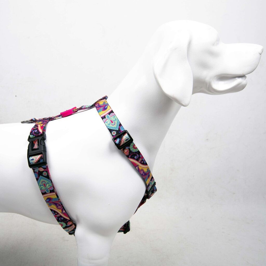 Paws & Whiskers Am za pse Paisley, Šareni