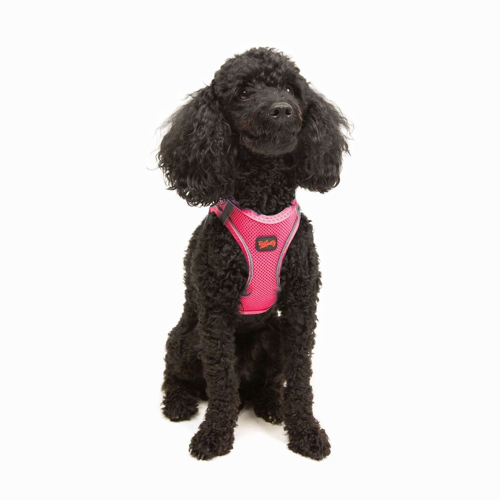 Paws & Whiskers Am za pse Air-Mesh, Roze