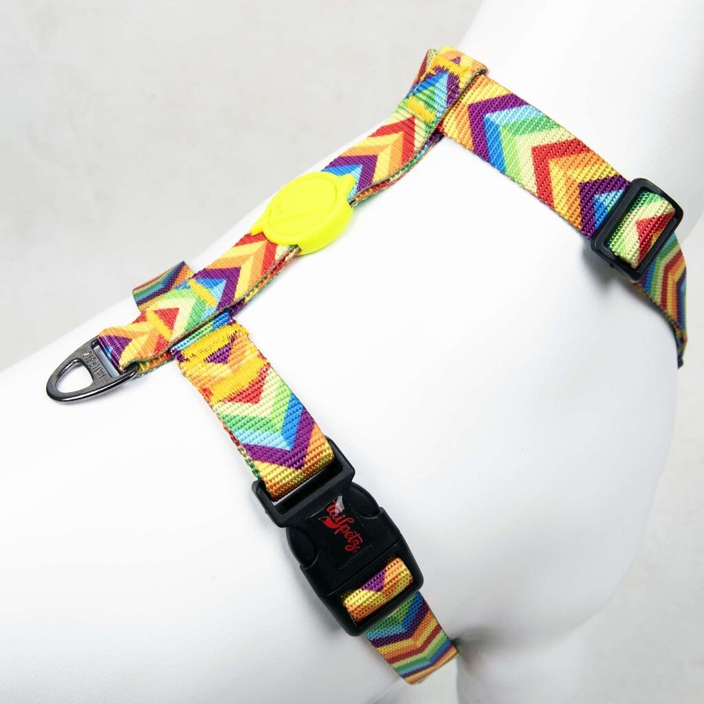 Paws & Whiskers Am za pse Rainbow, Šareni