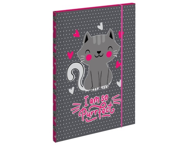 S-Cool Fascikla Premium 31.5x23,5cm, SC2758, Siva