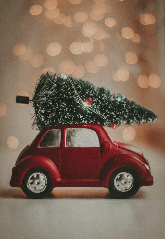 Conceptum Hypnose Woopamuk 428 Tepih, 80 x 120 cm, Šareni