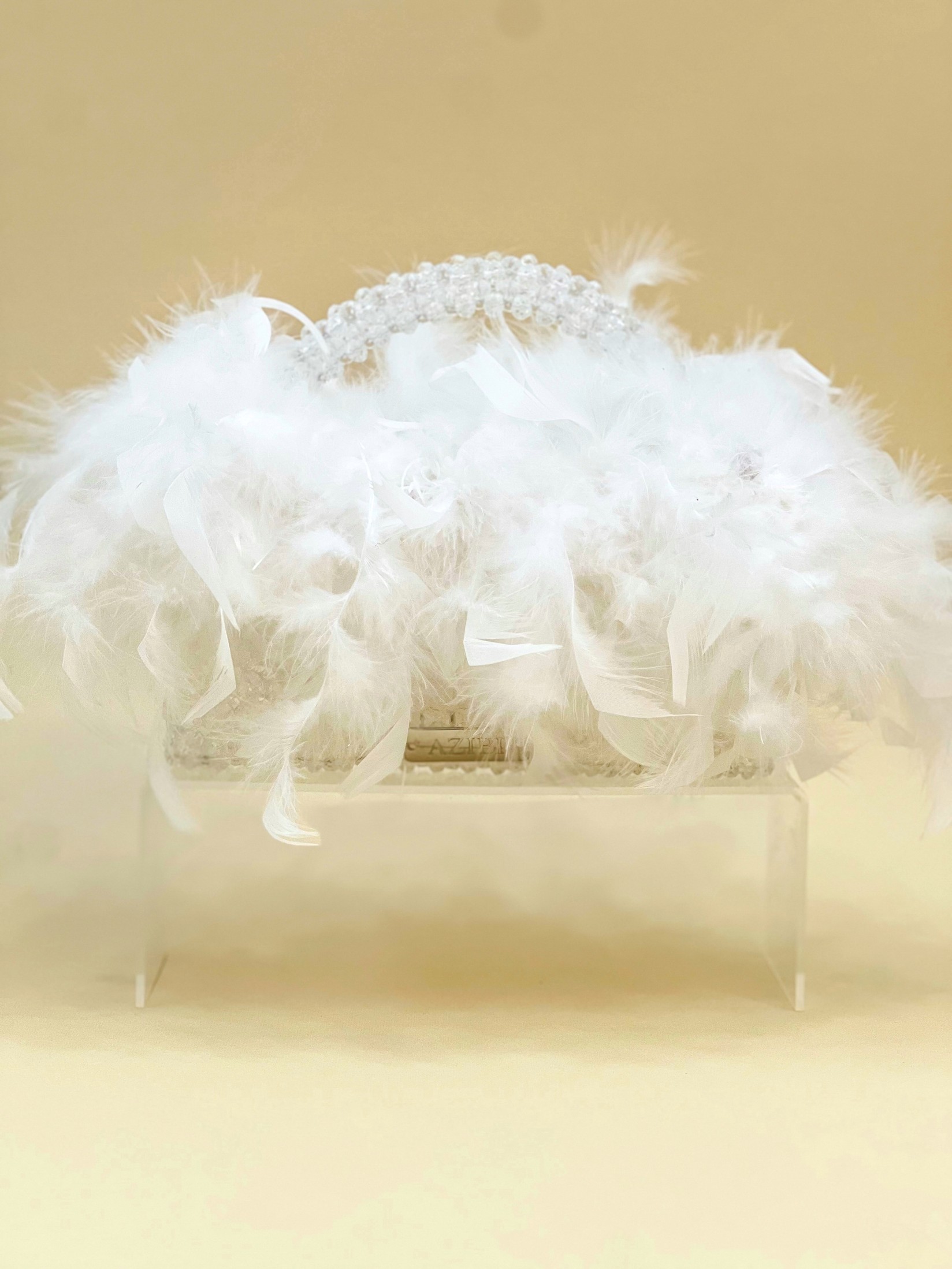 Azibi Ženska torba Olimpia, Providna