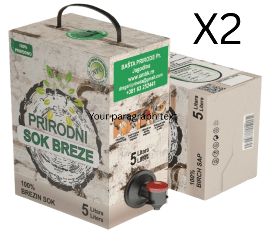 Bašta prirode Prirodni brezin sok, 2 x 5l