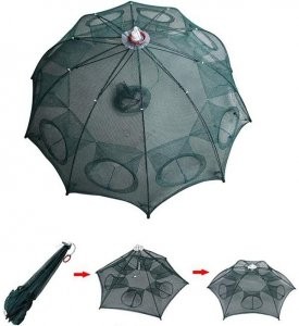 Filex Čerenac, 10 rupa