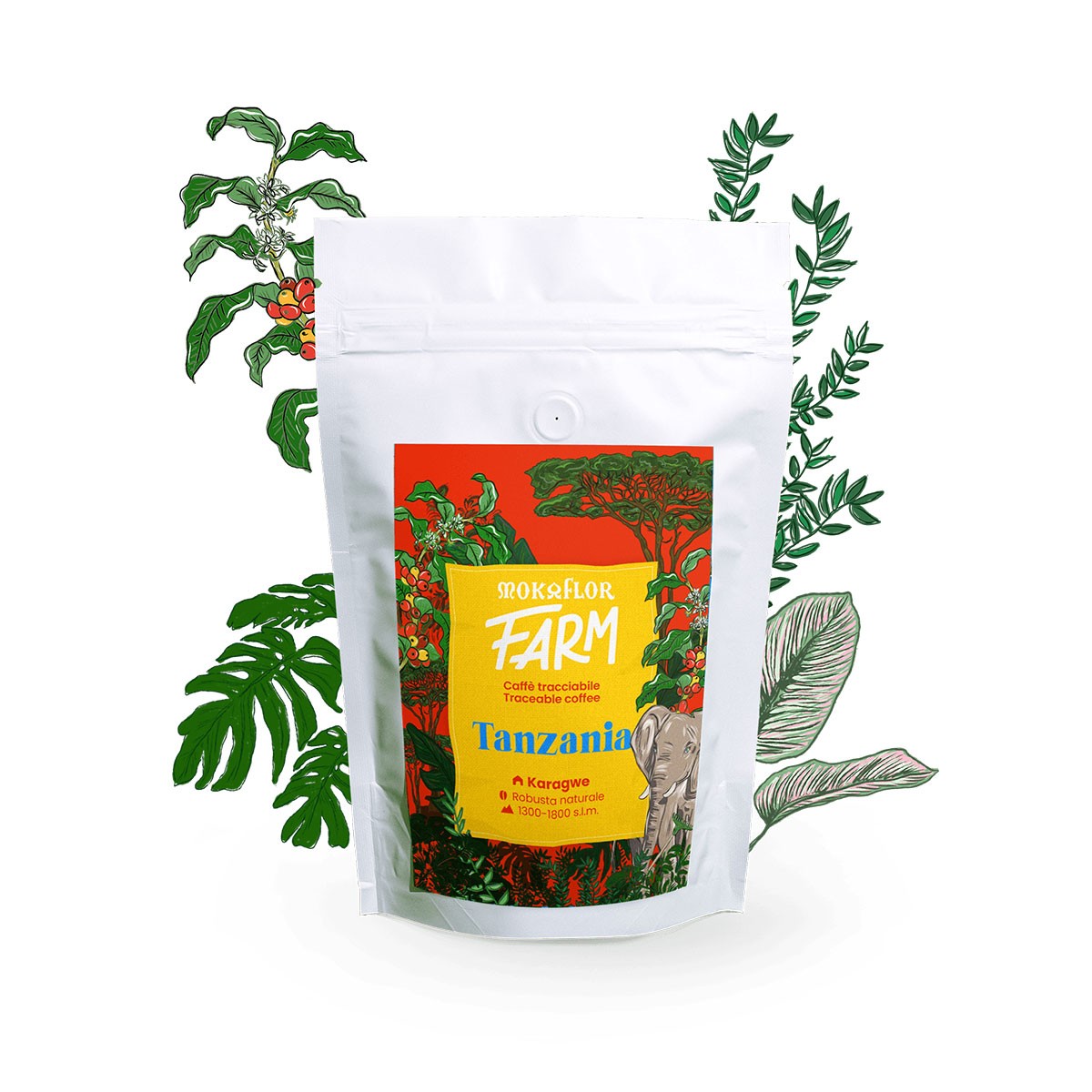 Mokaflor FARM Tanzanija Kafa u zrnu, 250g