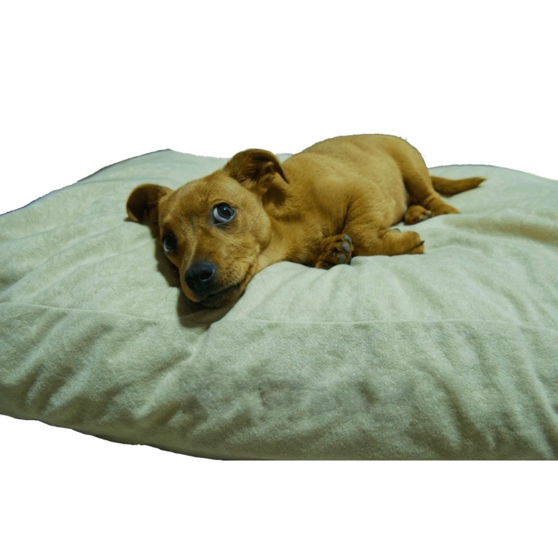 SPOTT PET Dušek za kućne ljubimce, 120/80 XXL, Mikrofiber štof i memori pena, Krem