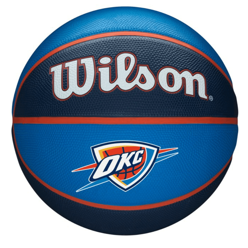 WILSON Lopta za košarku NBA TEAM TRIBUTE BSKT