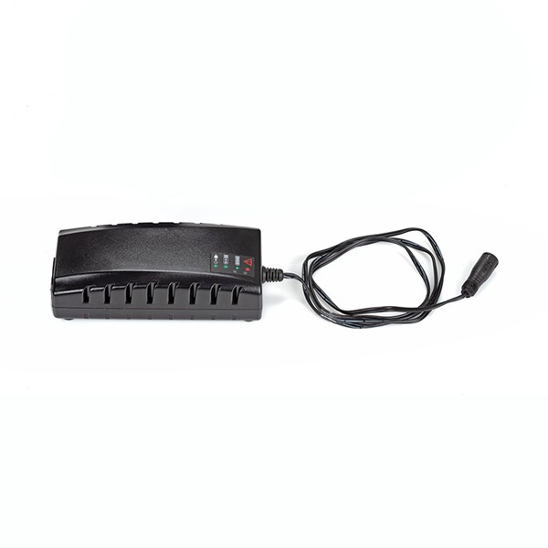 I-TEAM Standardni punjač i-MOP Lite