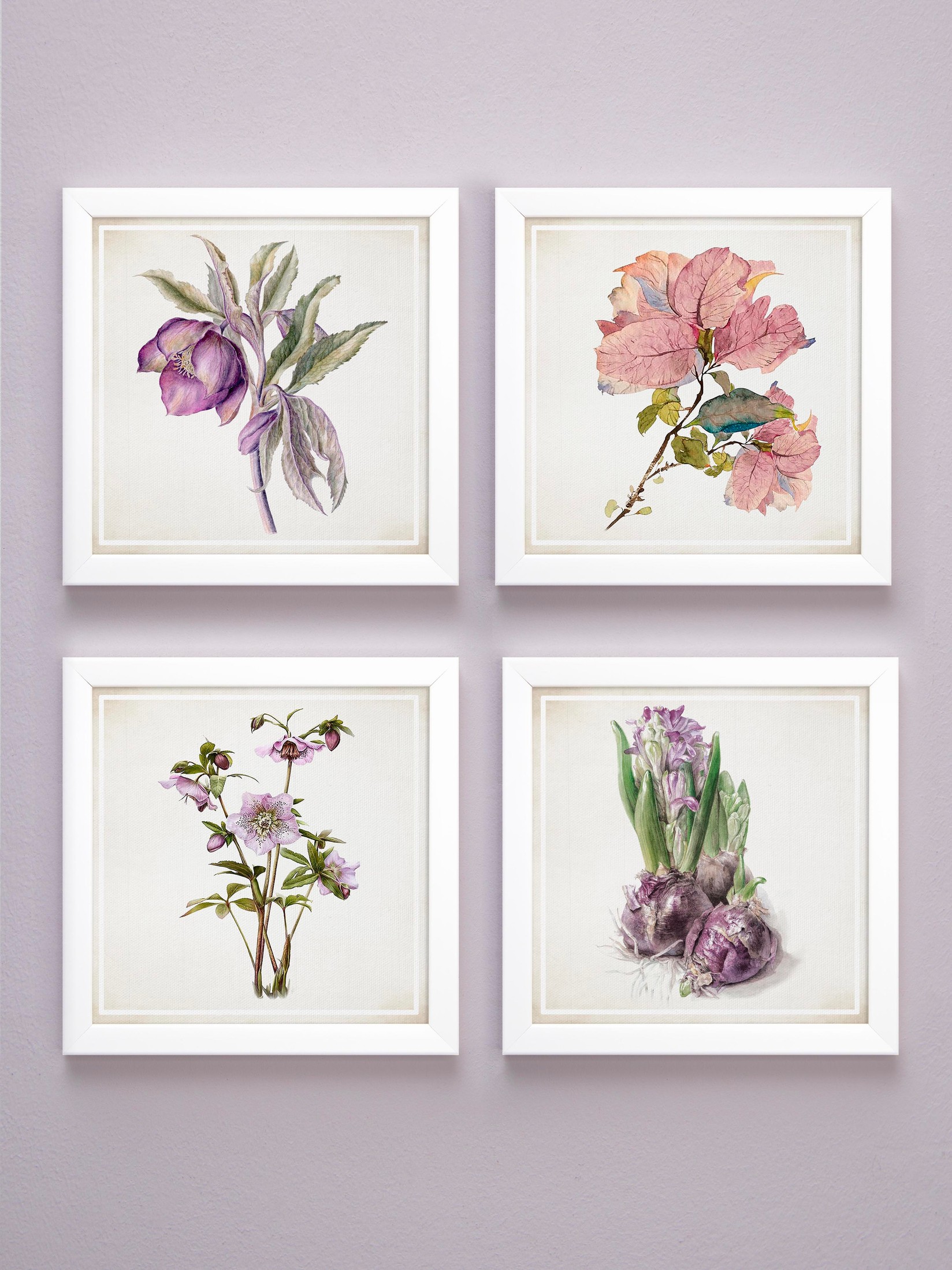 Home Gallery Set od 4 uramljene slike ''Cveće''  23x23cm