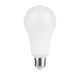 LED Sijalica A90 24We-27, 6500K
