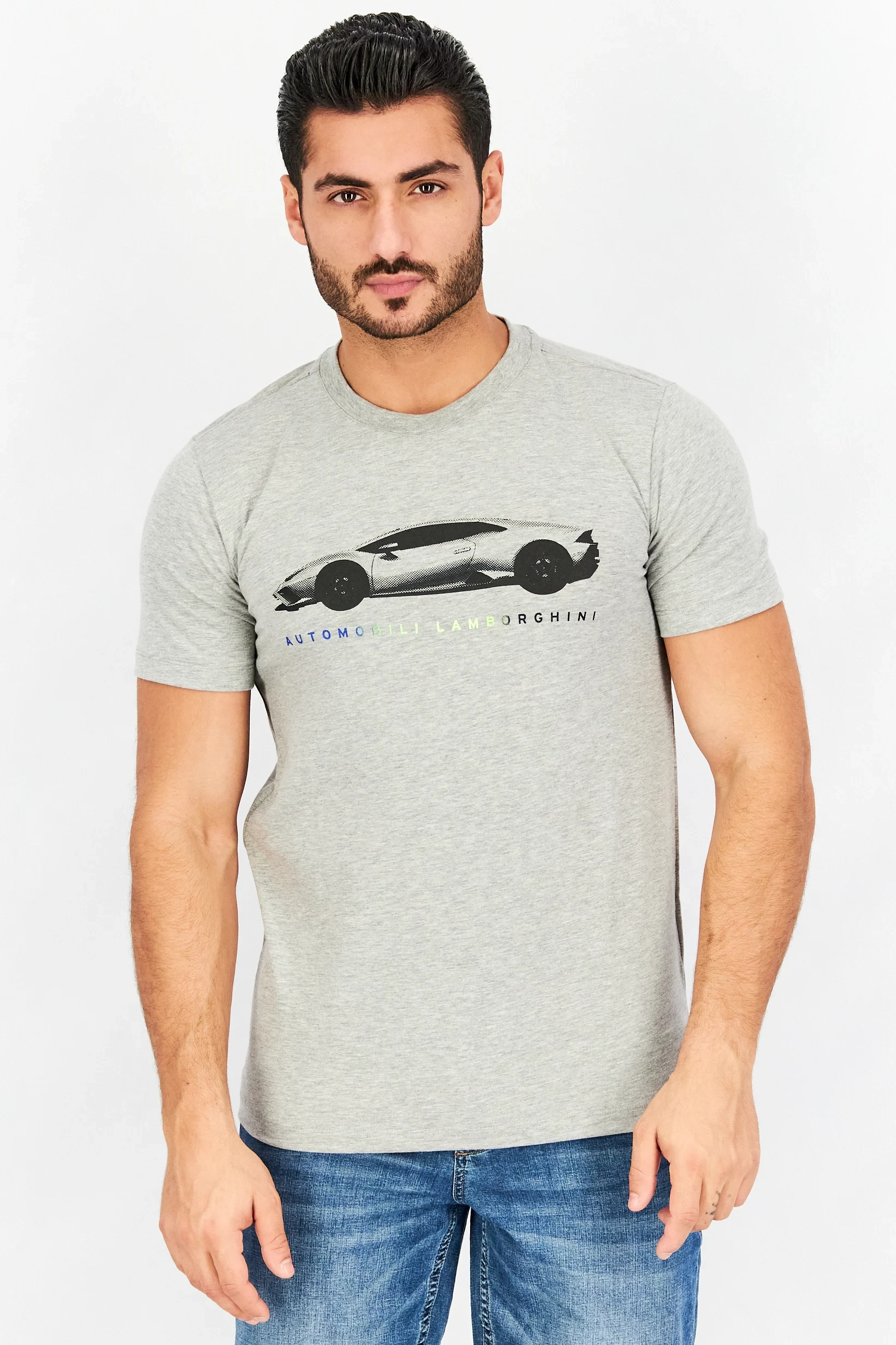 Lamborghini Muška majica 72XBH014CJ513-817, Siva