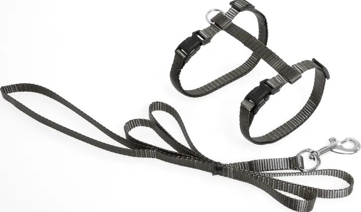 FLAMINGO Am za mačke Artsportiv Plus, Sa povocem, 10mm/110cm, Tamnosivi