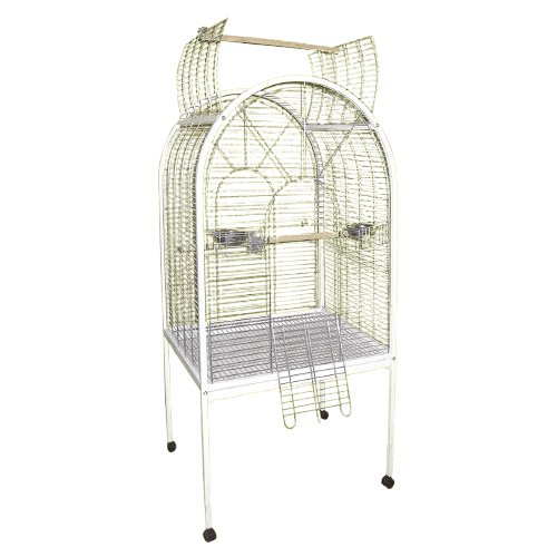 Karlos Kavez za ptice Singapur, Beli