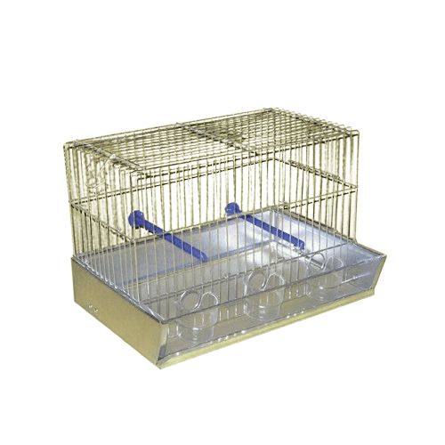 Karlos Kavez za kanarince sa 3 rupe, Srebrne boje