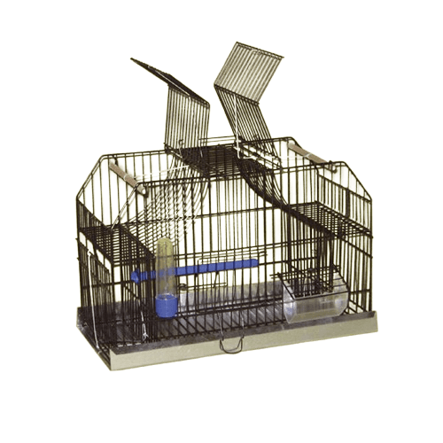 Karlos Kavez Hvataljka, Crno-srebrni