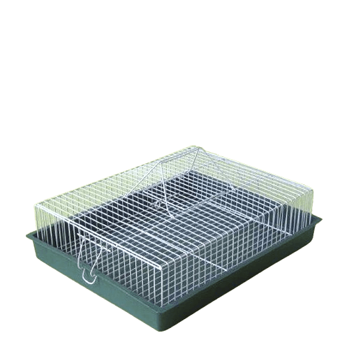 Karlos Transporter za ptice Veliki, Zeleni