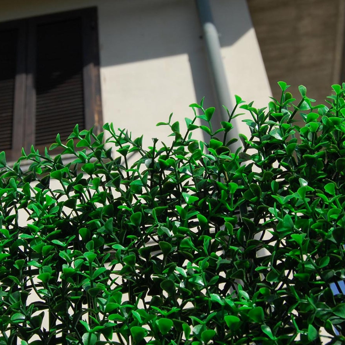 TENAX Veštački šimšir panel 0,5x1m