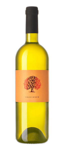 Tilia Estate Sauvignon Blanc Belo vino, 2022, 0.75l