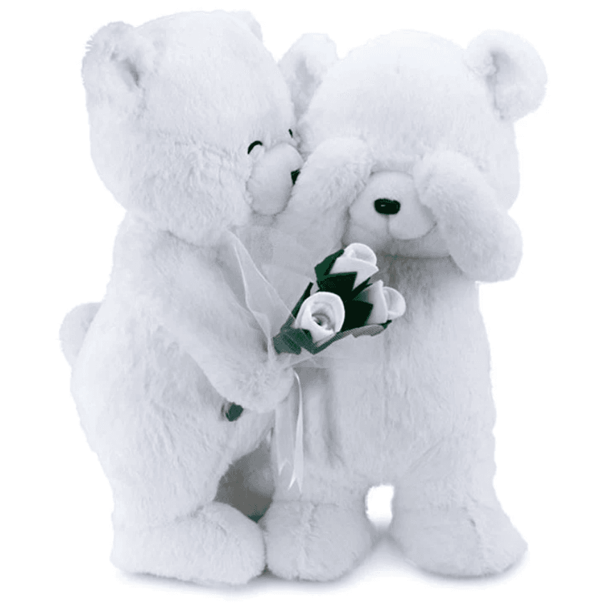 Slike Par plišanih meda u zagrljaju sa ružama 55cm beli