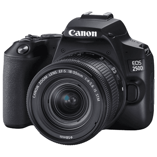 CANON Fotoaparat EOS 250D+18-55mm IS crni