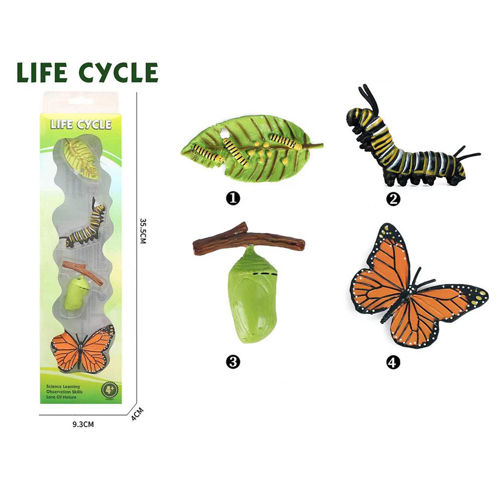 Selected image for Igračka Životni ciklus leptira iz 4 dela