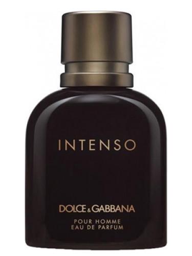 DOLCE&GABBANA Muški parfem Pour Homme Intenso, 40ml