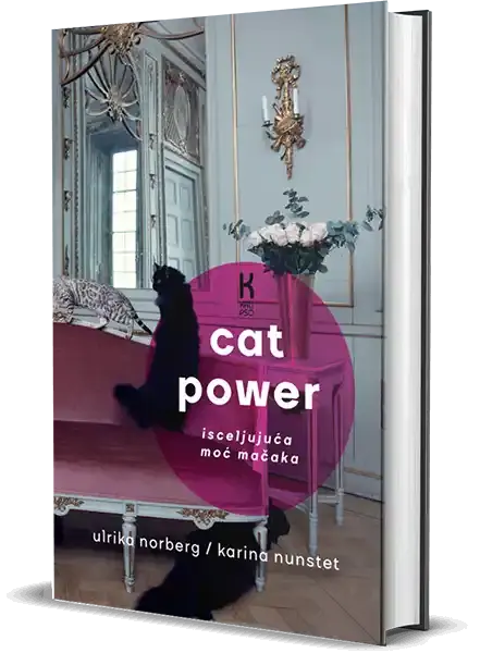 Cat power: isceljujuća moć mačaka