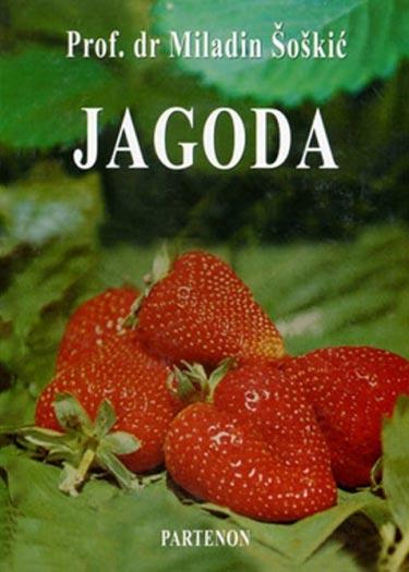 Selected image for Jagoda