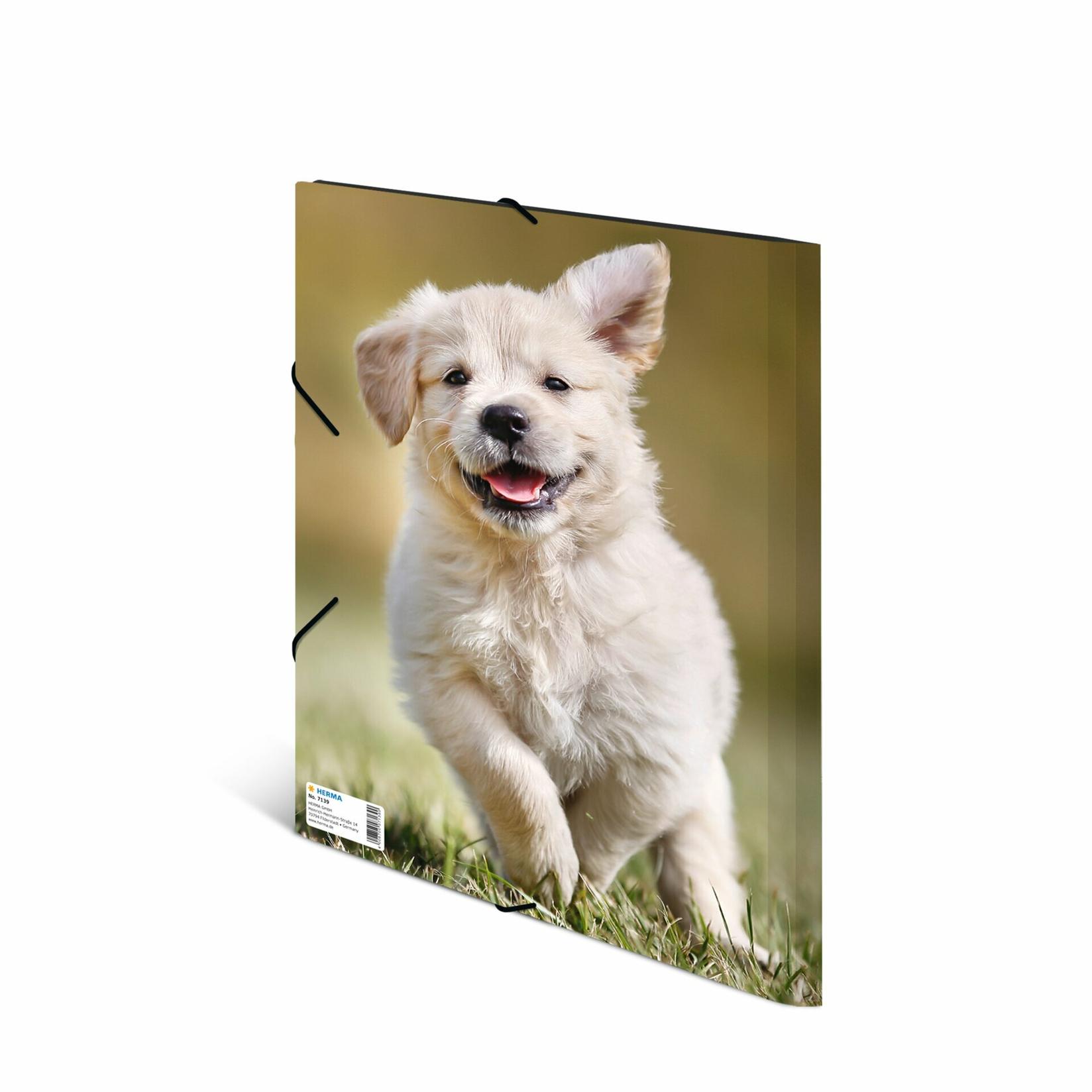 Selected image for HERMA Fascikla PP sa gumicom Dogs 240x320x15mm šarena