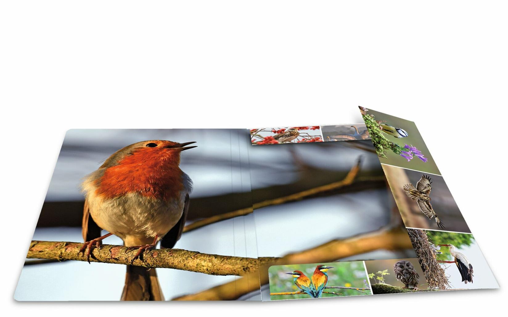 Selected image for HERMA Plastificirana fascikla sa gumicom Birds 240x320x15mm šarena