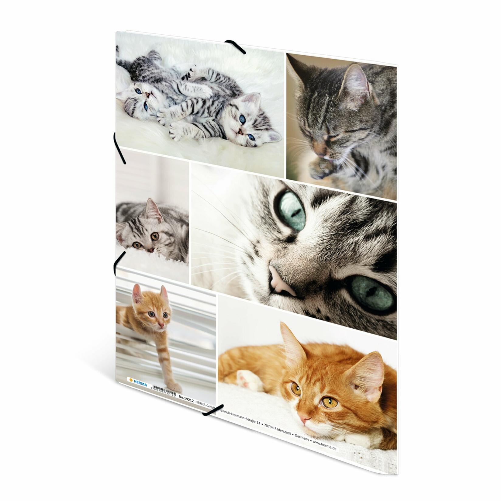Selected image for HERMA Plastificirana fascikla sa gumicom Cats 240x320x15mm šarena