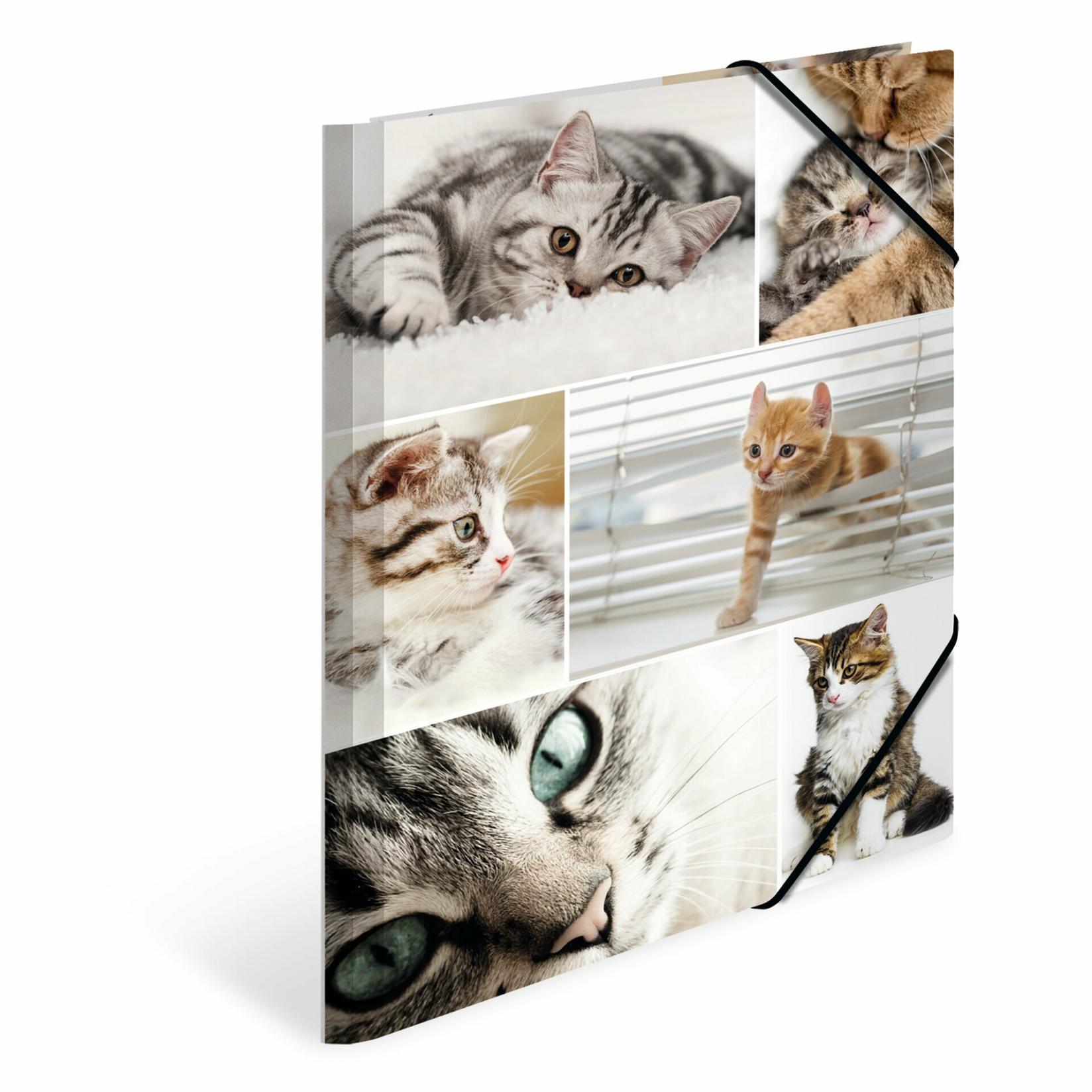 HERMA Plastificirana fascikla sa gumicom Cats 240x320x15mm šarena
