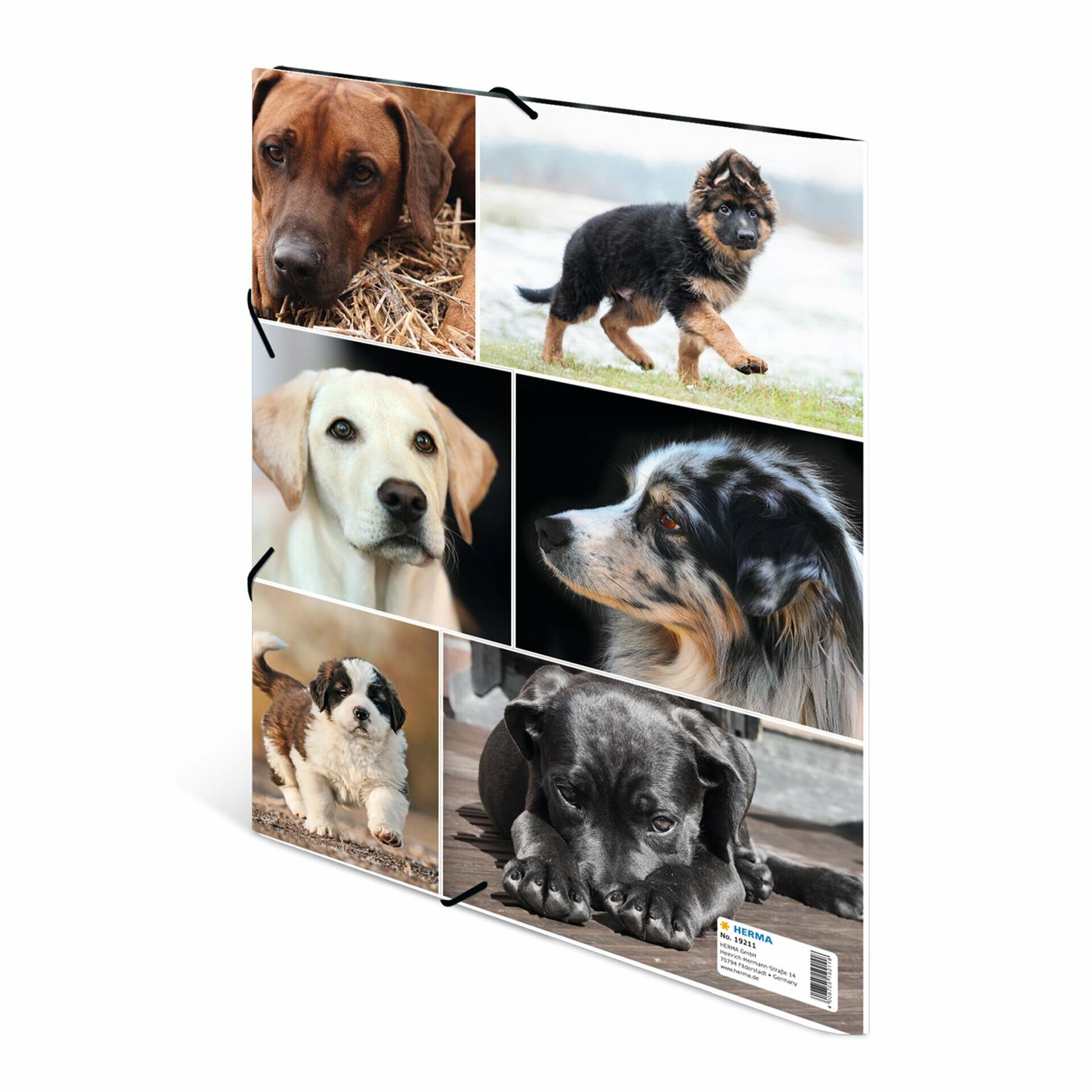Selected image for HERMA Plastificirana fascikla sa gumicom Dogs 240x320x15mm šarena