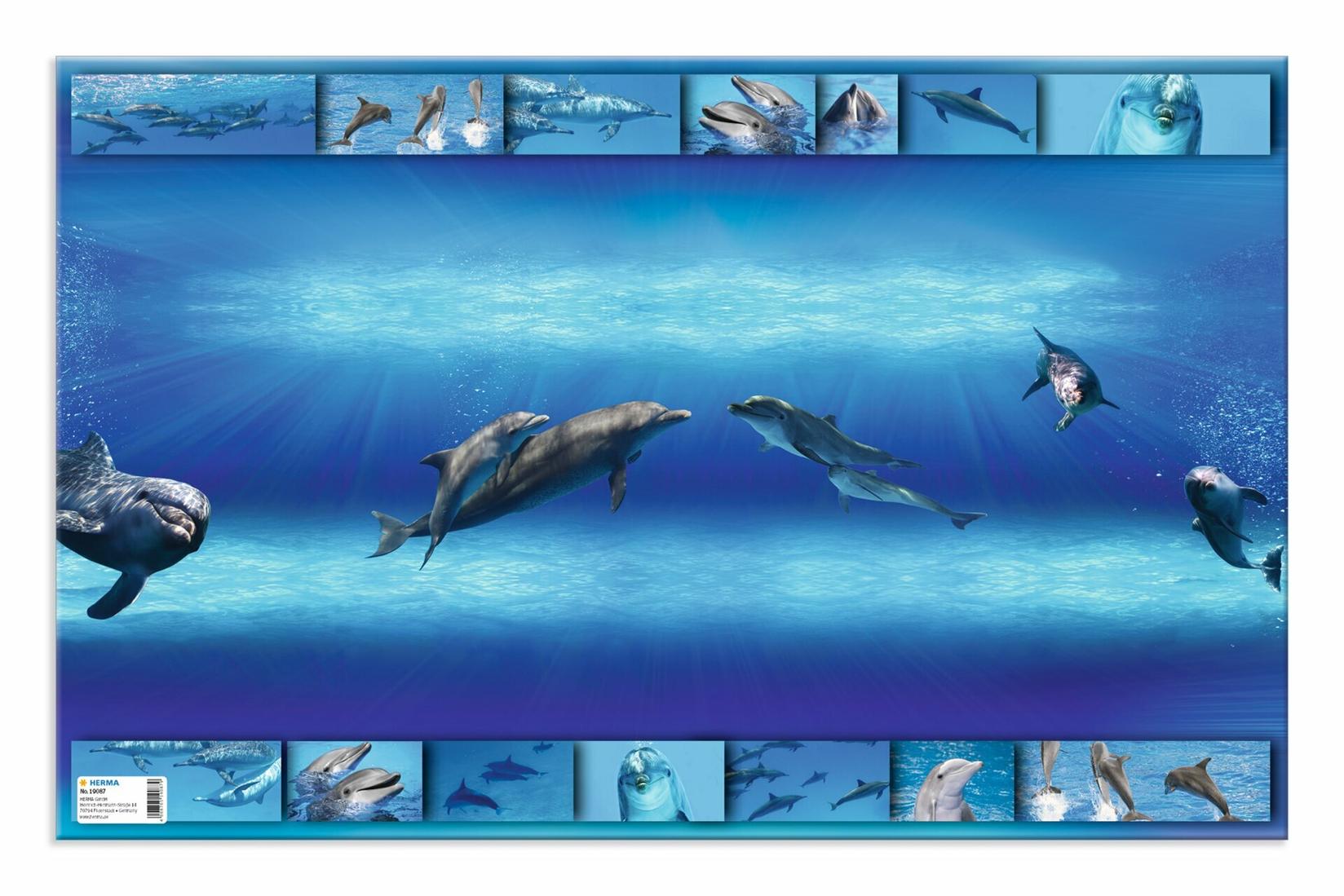 HERMA Podloga za sto Delfin 550x350mm šarena
