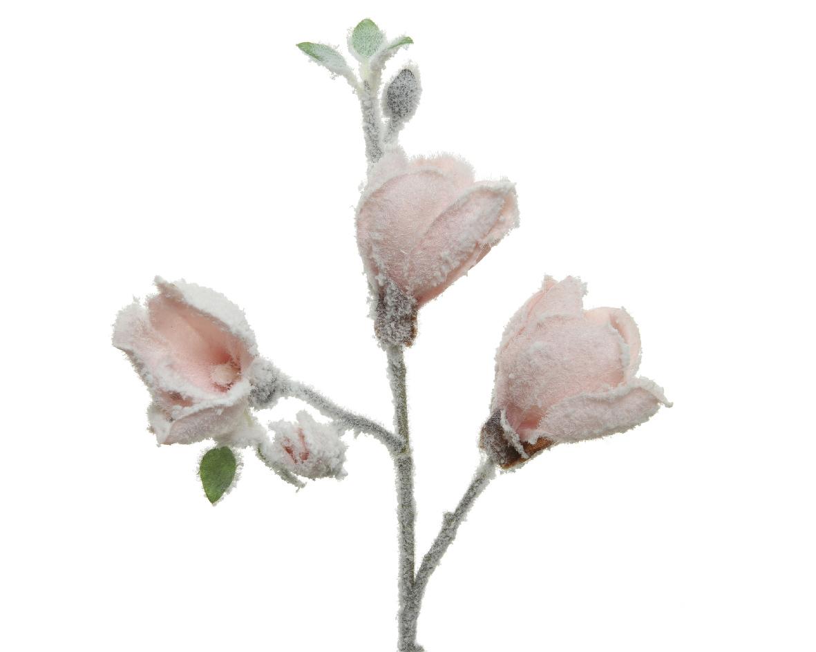 Selected image for KAEMINGK Ukrasni cvet magnolija 220212 roze