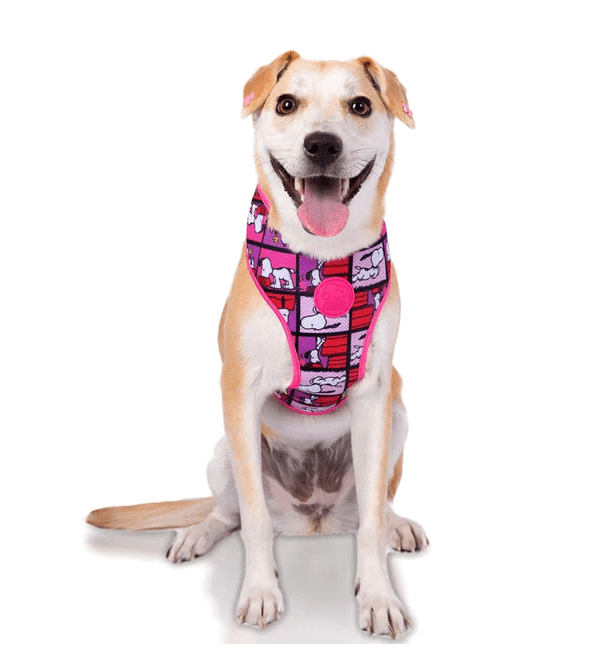 Selected image for ZOOZ PETS Am za pse Snoopy Mesh Pink Film Color M 40/42-59 cm roze