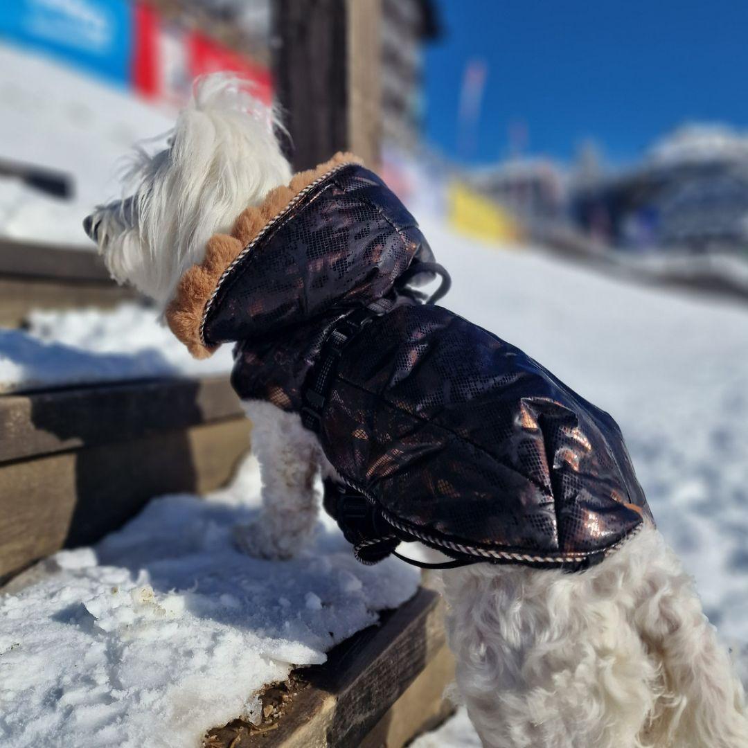 Selected image for MILA PET FASHION Zimska nepromočiva jakna za pse crno-braon