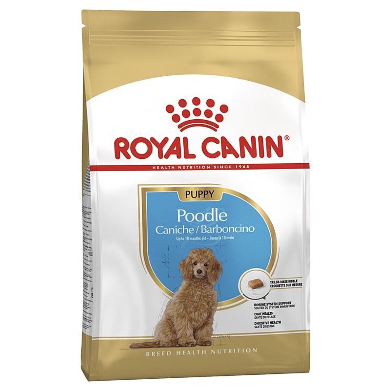 ROYAL CANIN Hrana za pse rase Pudla Junior 3kg