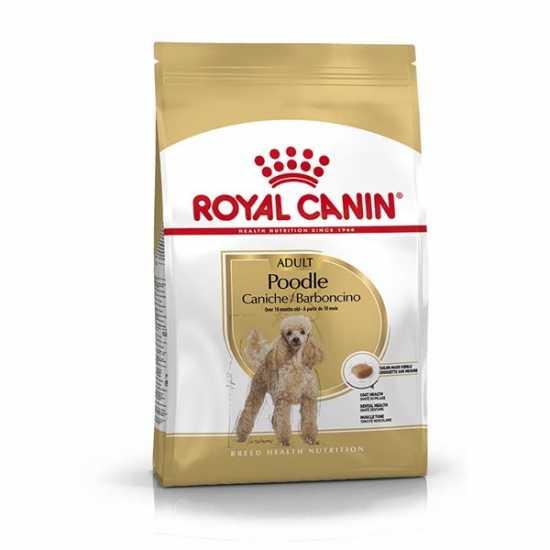ROYAL CANIN Suva hrana za pse Adult Poodle 1.5kg