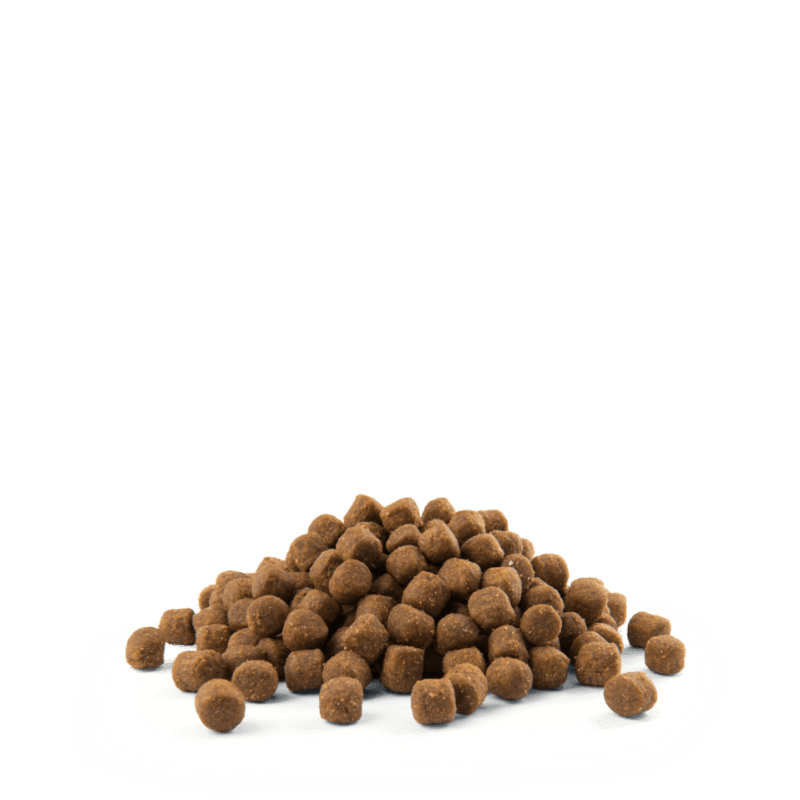 Selected image for Versele-Laga Opti Life Dog Puppy All Sensitive Salmon&Rice 2.5kg