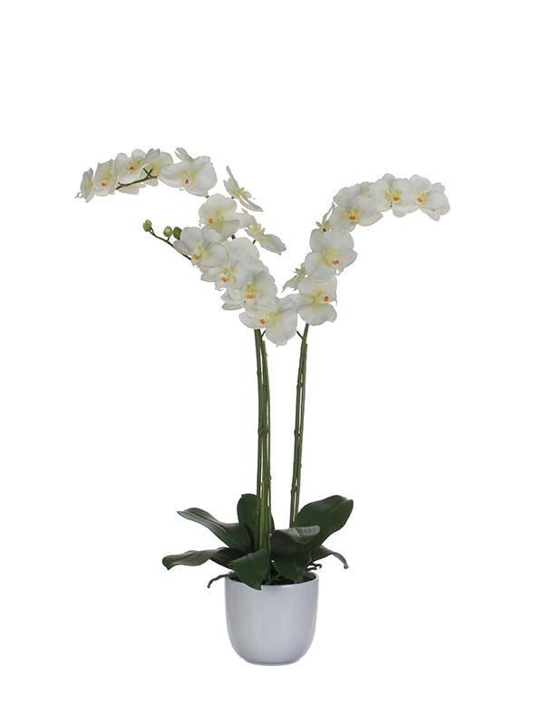 EDELMAN Veštačka orhideja Tusca