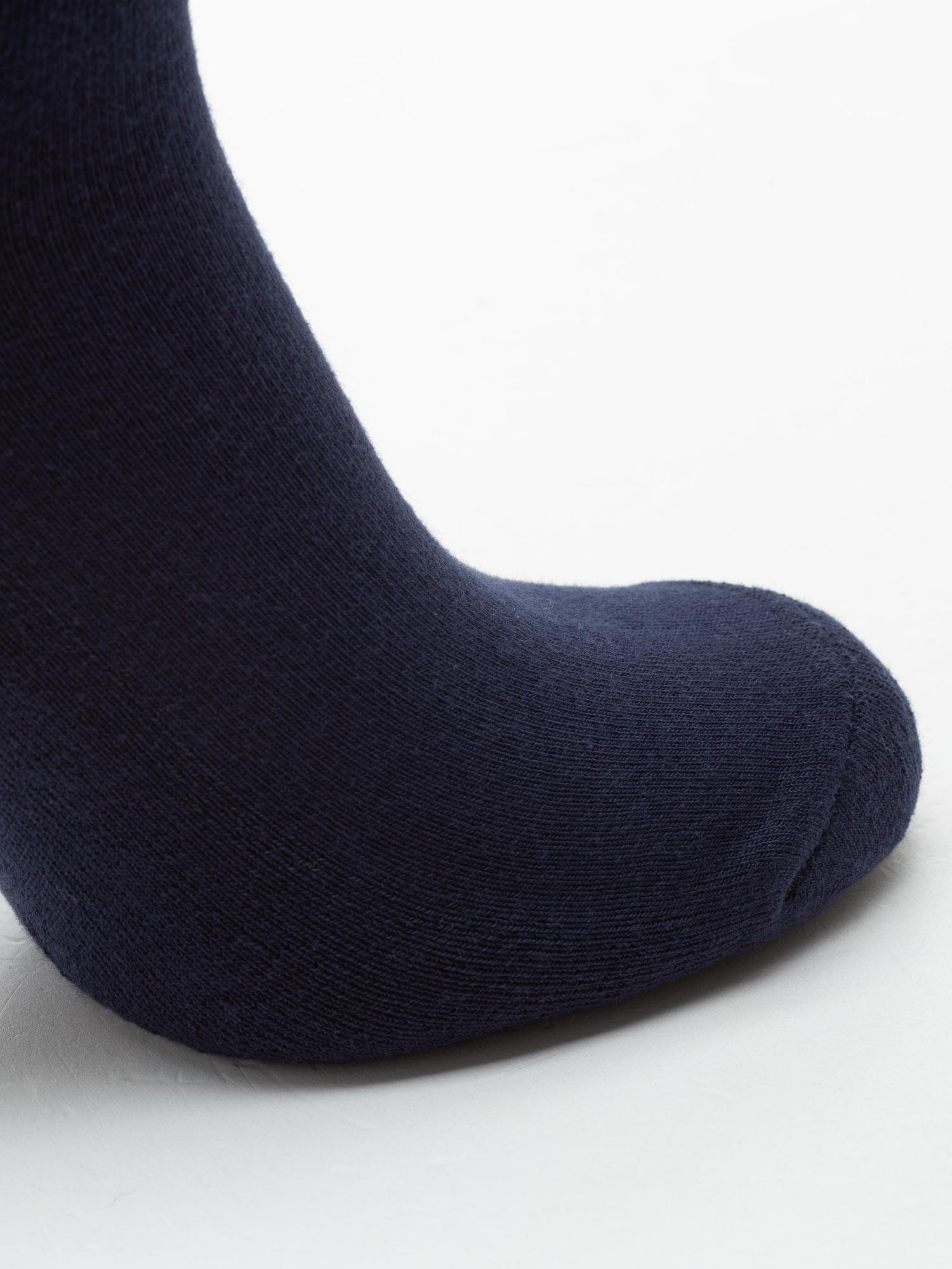 Selected image for BRILLE Muške čarape Fresh teget